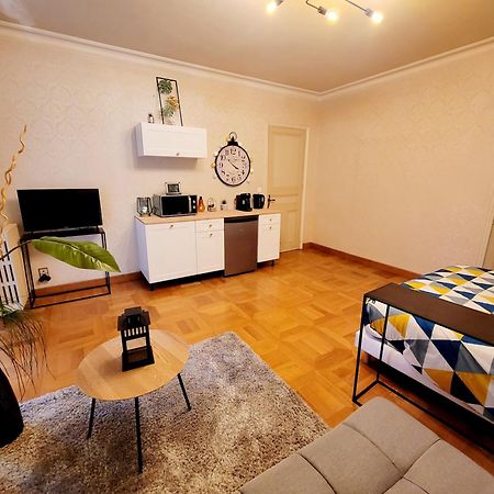 Superbe Appartement Calme Et Spacieux Graulhet Extérieur photo