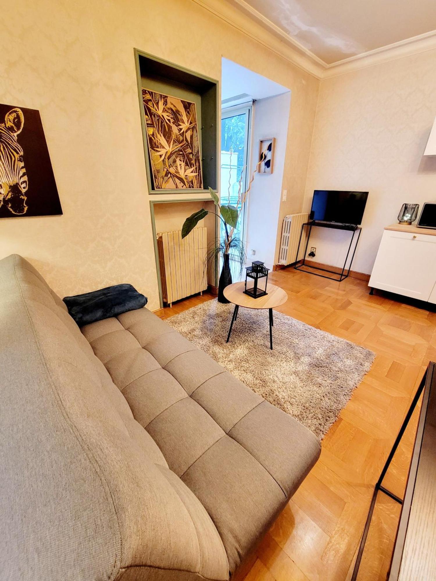 Superbe Appartement Calme Et Spacieux Graulhet Extérieur photo